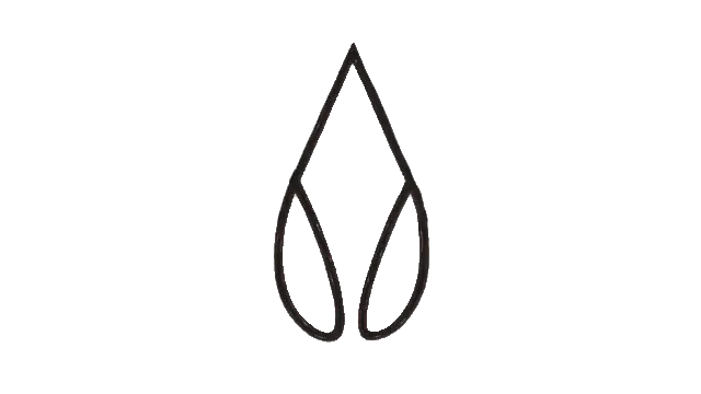 Lotus Bloom Animation